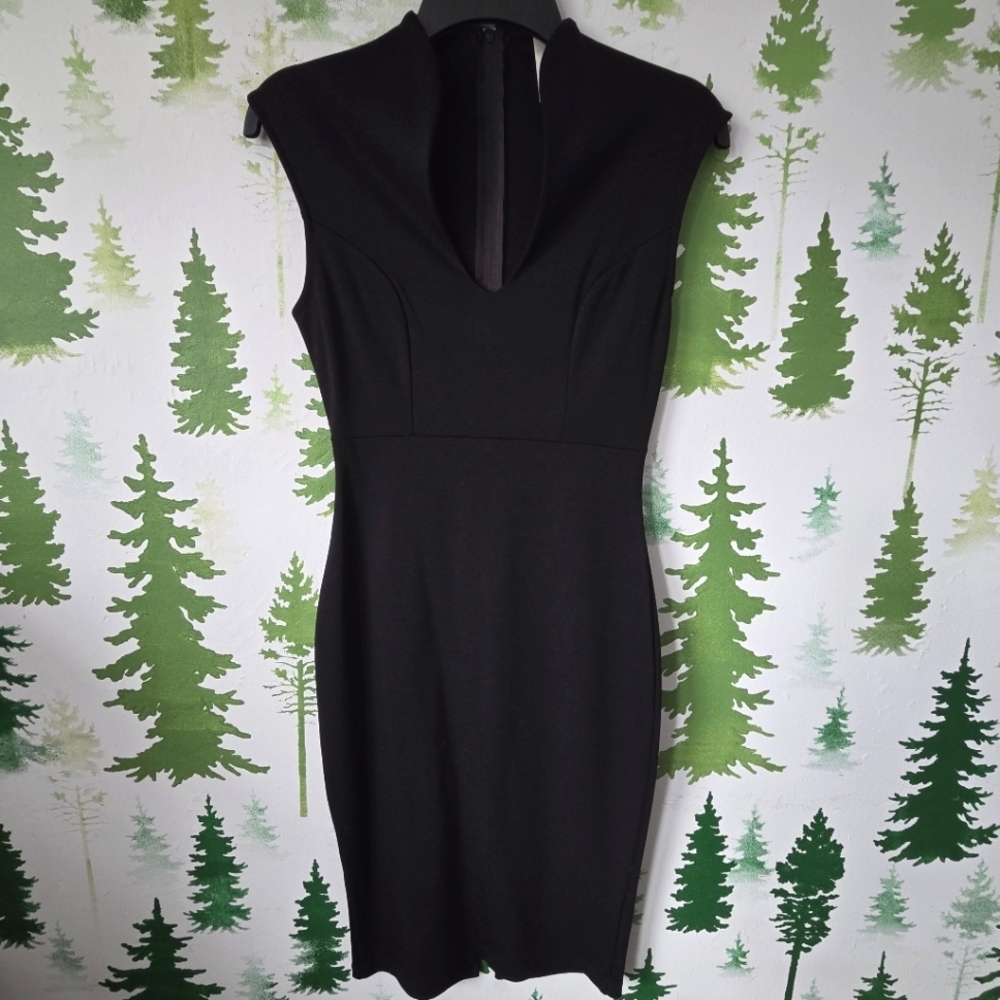 Black Glare Sleeveless Dress.